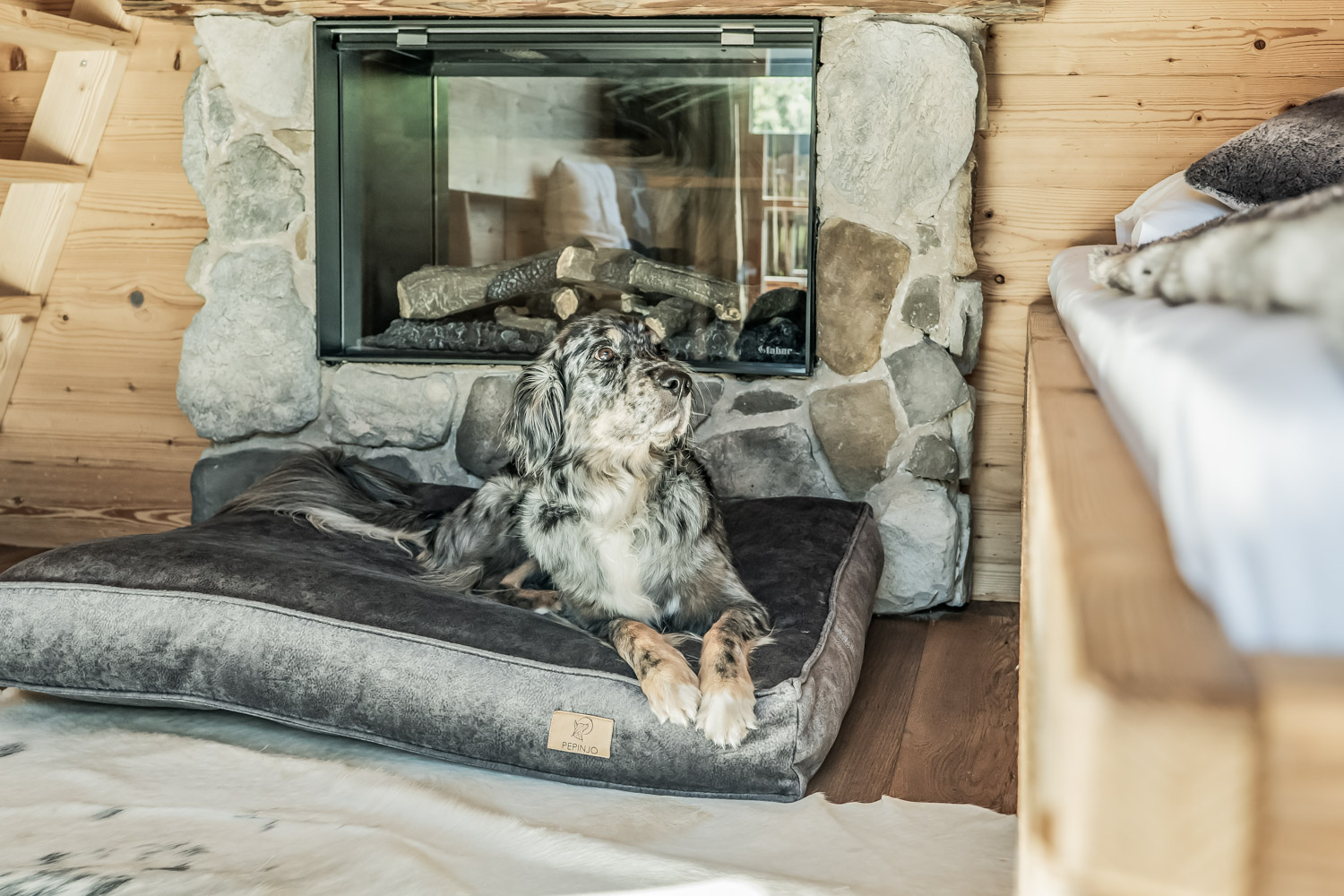 Benglerwald Chalet in alpiner Umgebung